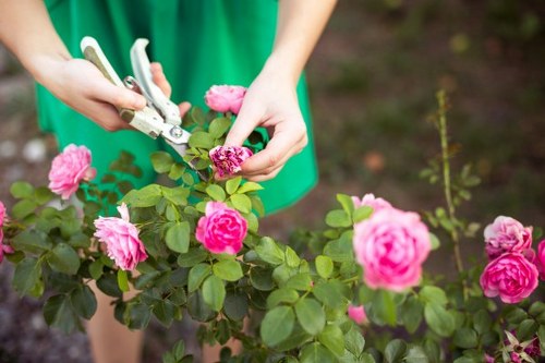 Local gardeners working in a Kingston garden